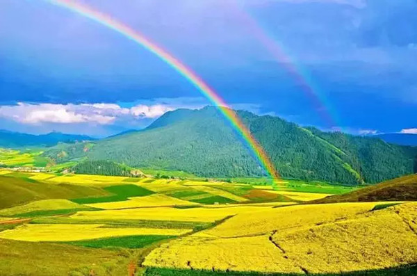 青海探秘，高原之美的神秘旅程