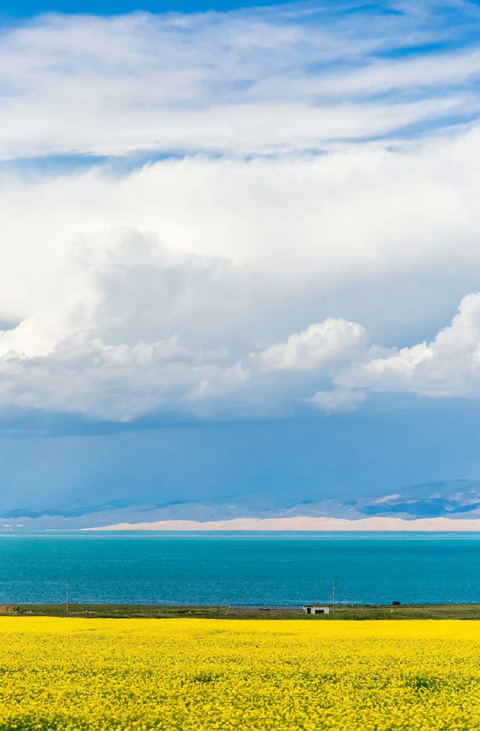 探寻青海，神秘高原的绿色秘境🌿🏔️