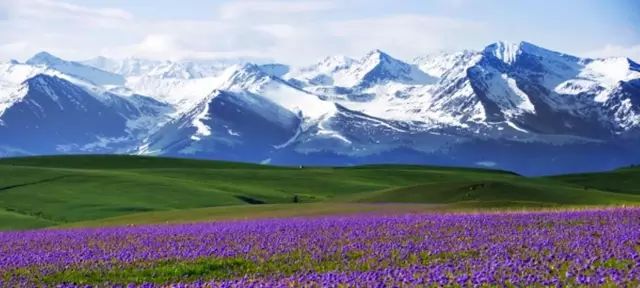 千年丝路明珠，新疆之旅